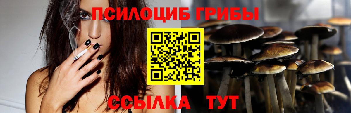 Псилоцибиновые грибы ЛСД Зерноград